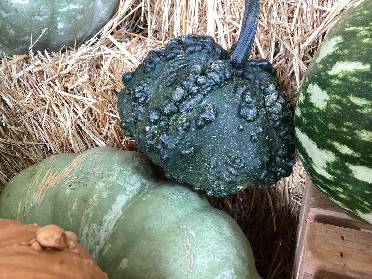 Pumpkins