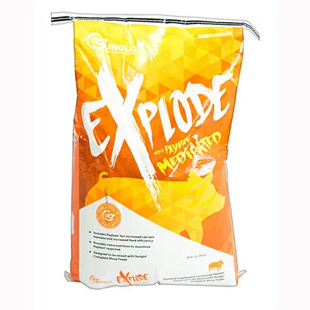 Explode By Sunglo