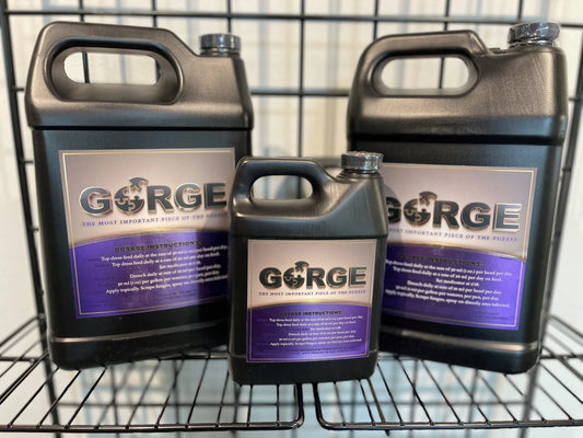 Gorge - Gallon