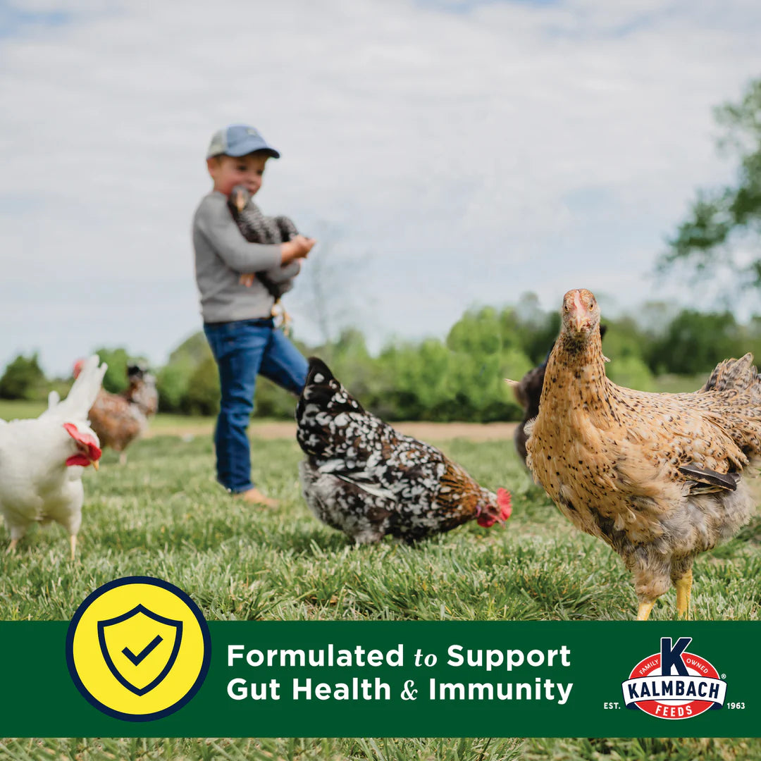 Henhouse Reserve® with Crumbles for Chickens and Poultry