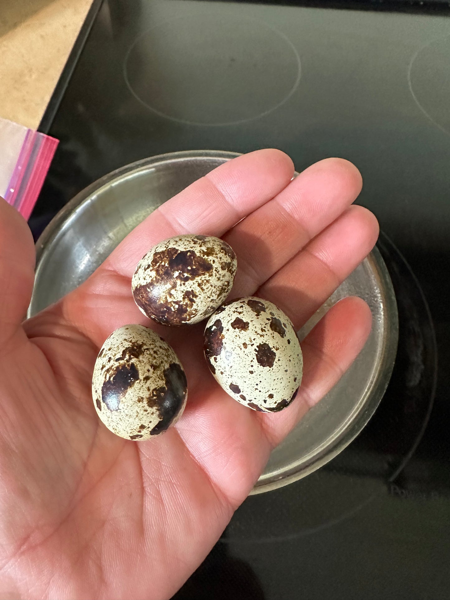 Fresh Eggs