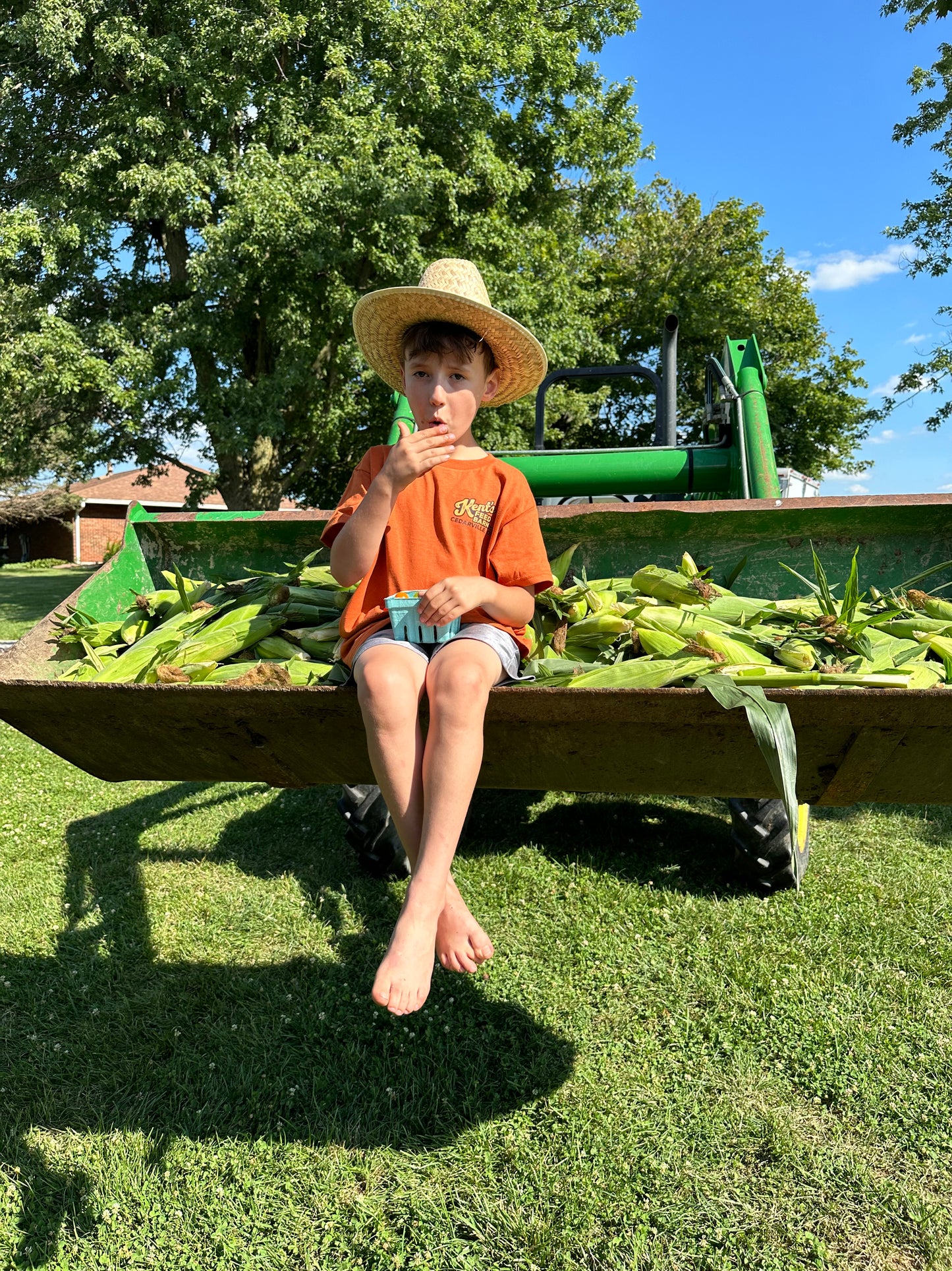 Sweet Corn