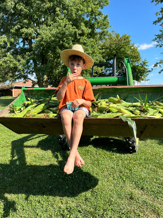 Sweet Corn