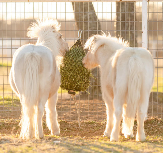 Hay Chix Quarter Bale Hay Net 1 3/4"