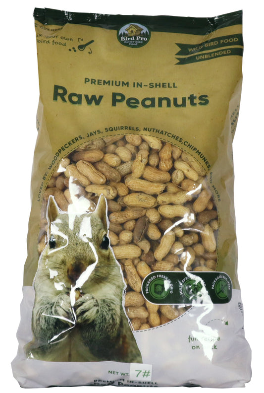 Premium In Shell Raw Peanuts
