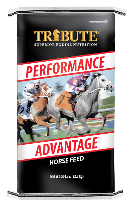 Tribute Performance Advantage® T913RACE