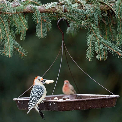 3-in-1 Platform Bird Feeder