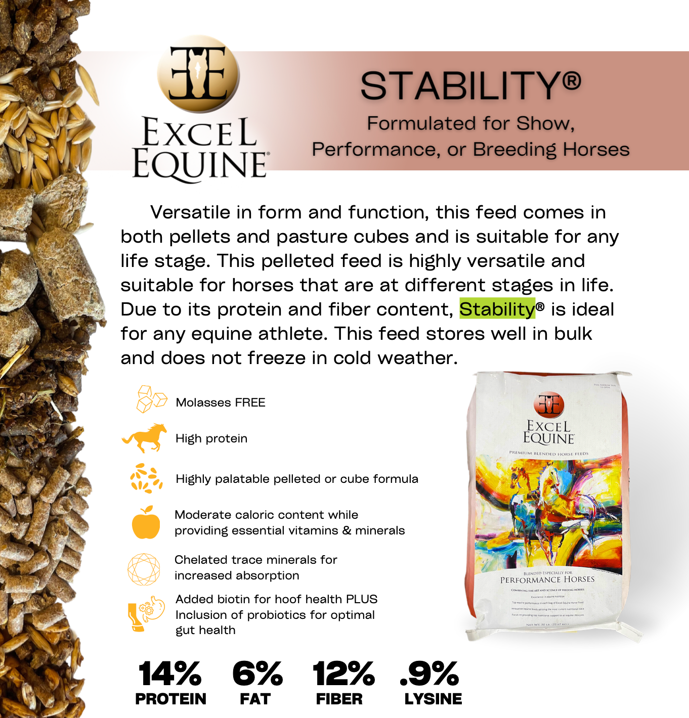 Excel Equine Stability 12