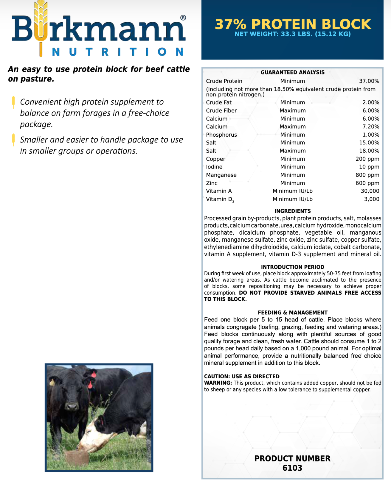 37% Protein 33.3 pound Block
