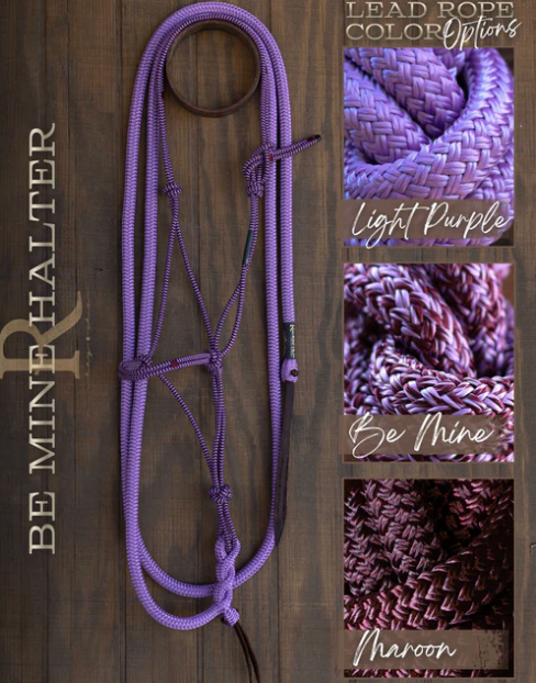 Hay Chix Timeless Halter & Lead Rope