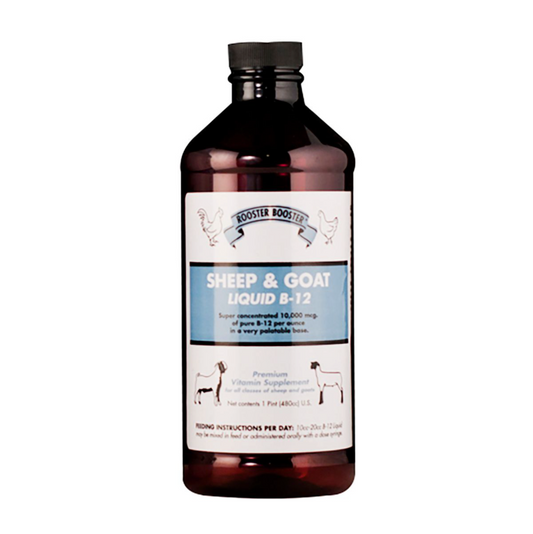 Sheep & Goat Liquid B-12 Supplement - 16 fl oz/480 cc