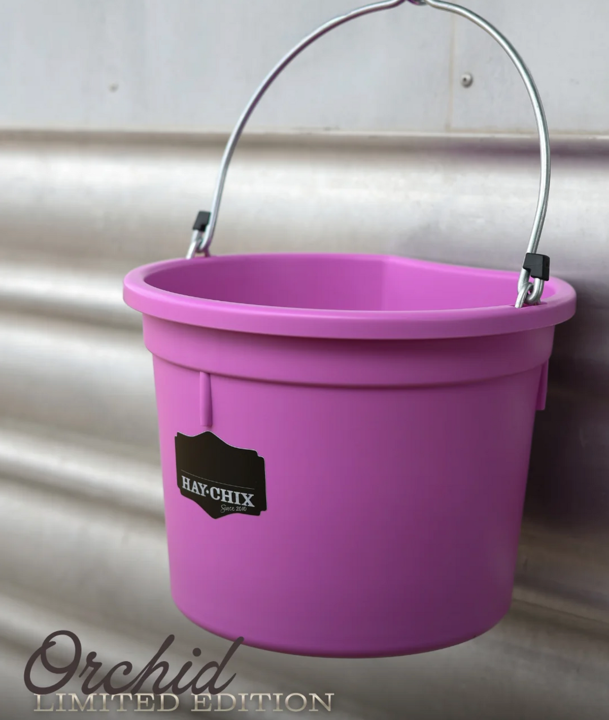 The Hay Chix Favorite Bucket