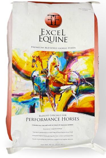 Excel Equine Stability 12