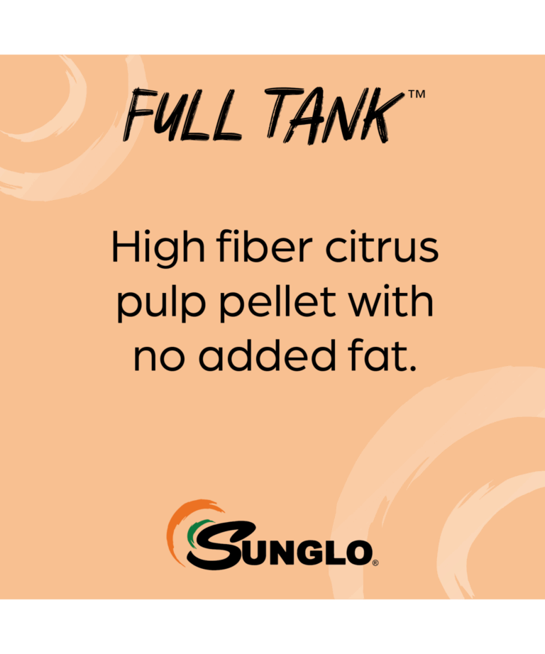 Sunglo Full Tank