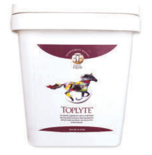 Excel Equine Toplyte