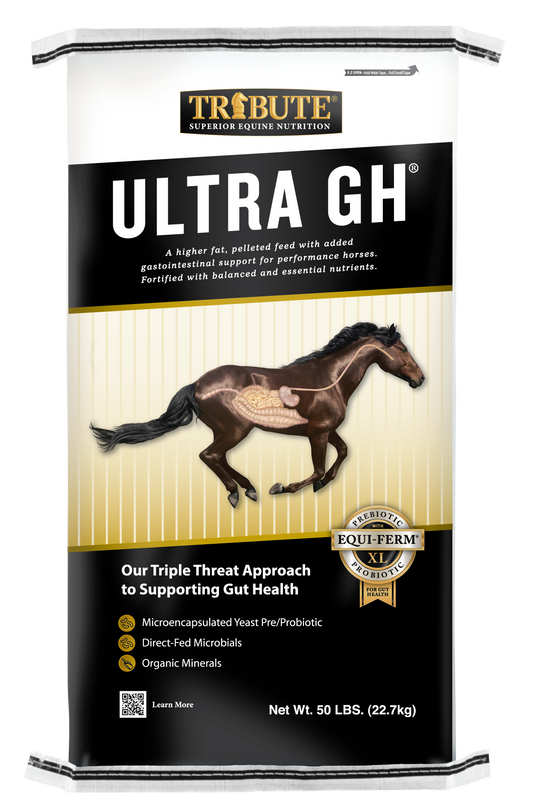 Ultra GH®, Pelleted Feed for Performance Horses