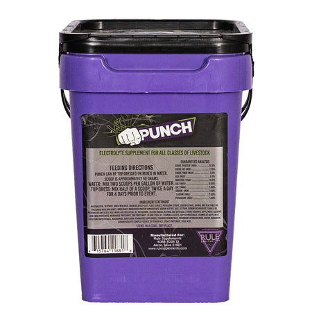 Wintex Punch