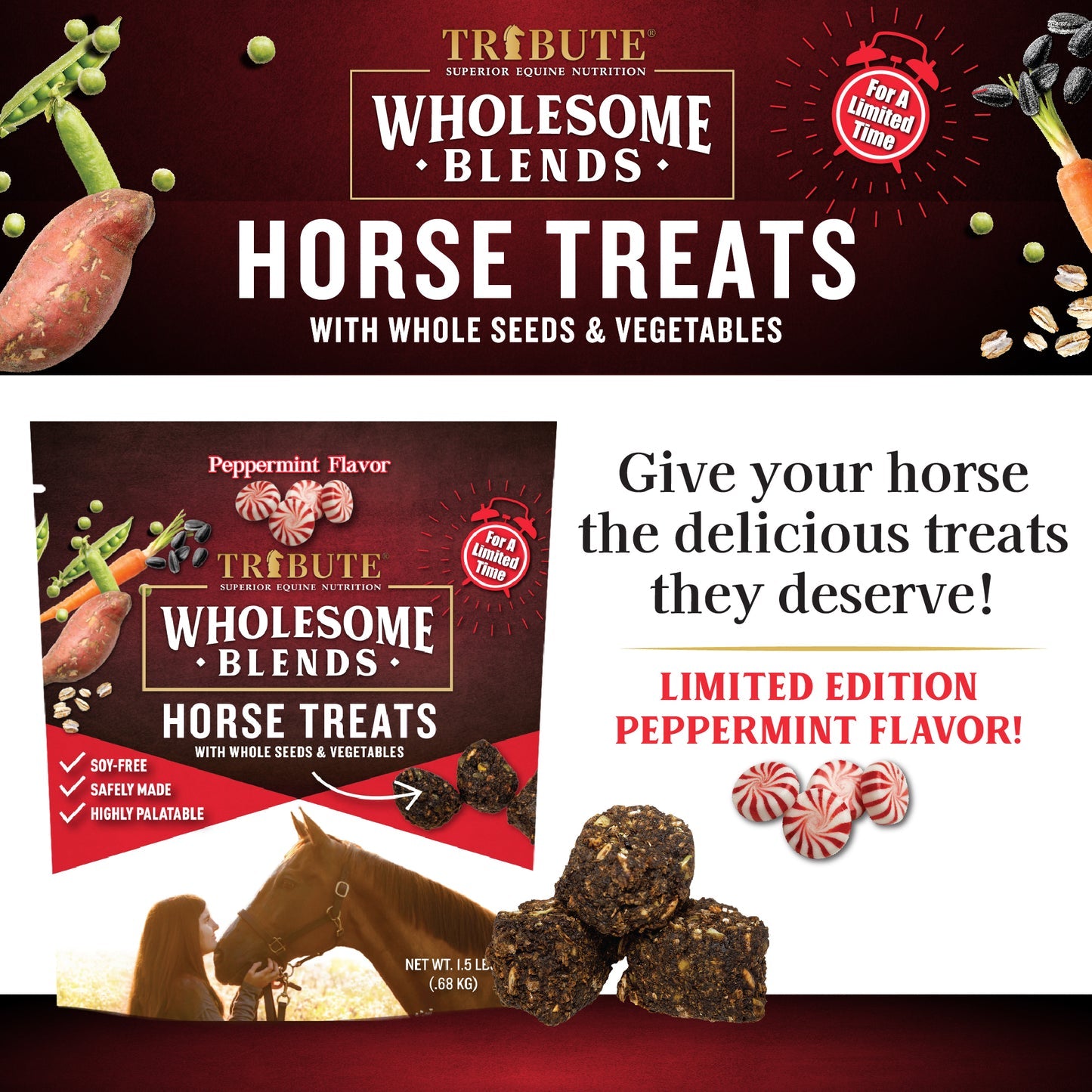 Wholesome Blends® Horse Treats