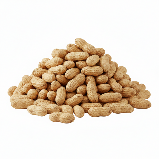 Premium In Shell Raw Peanuts