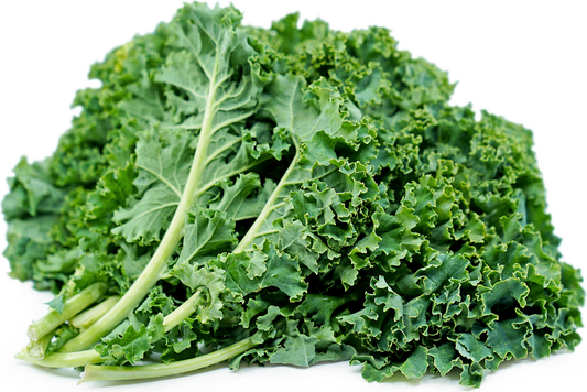 Bag of Fresh Kale