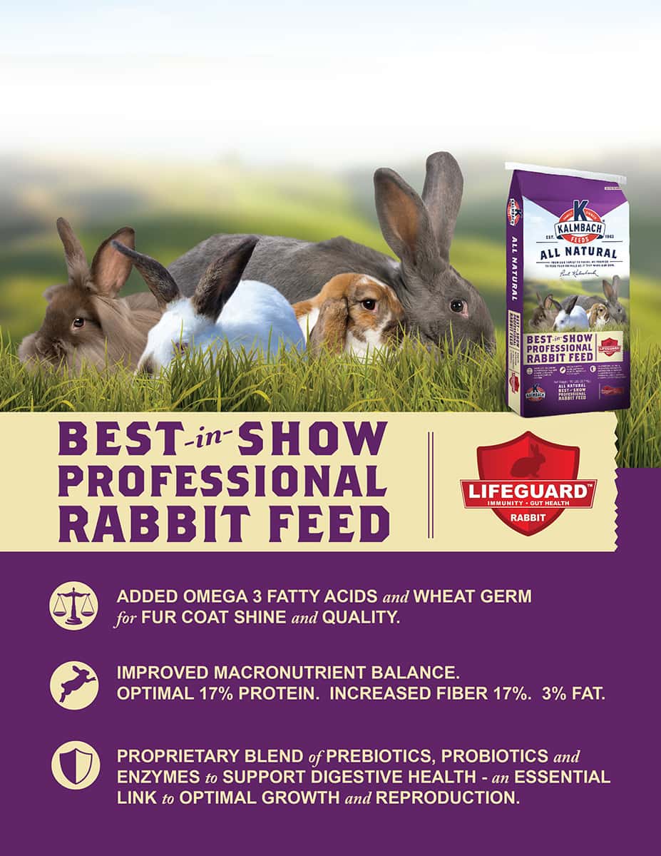 Best-in-Show 18% Rabbit Feed - 800