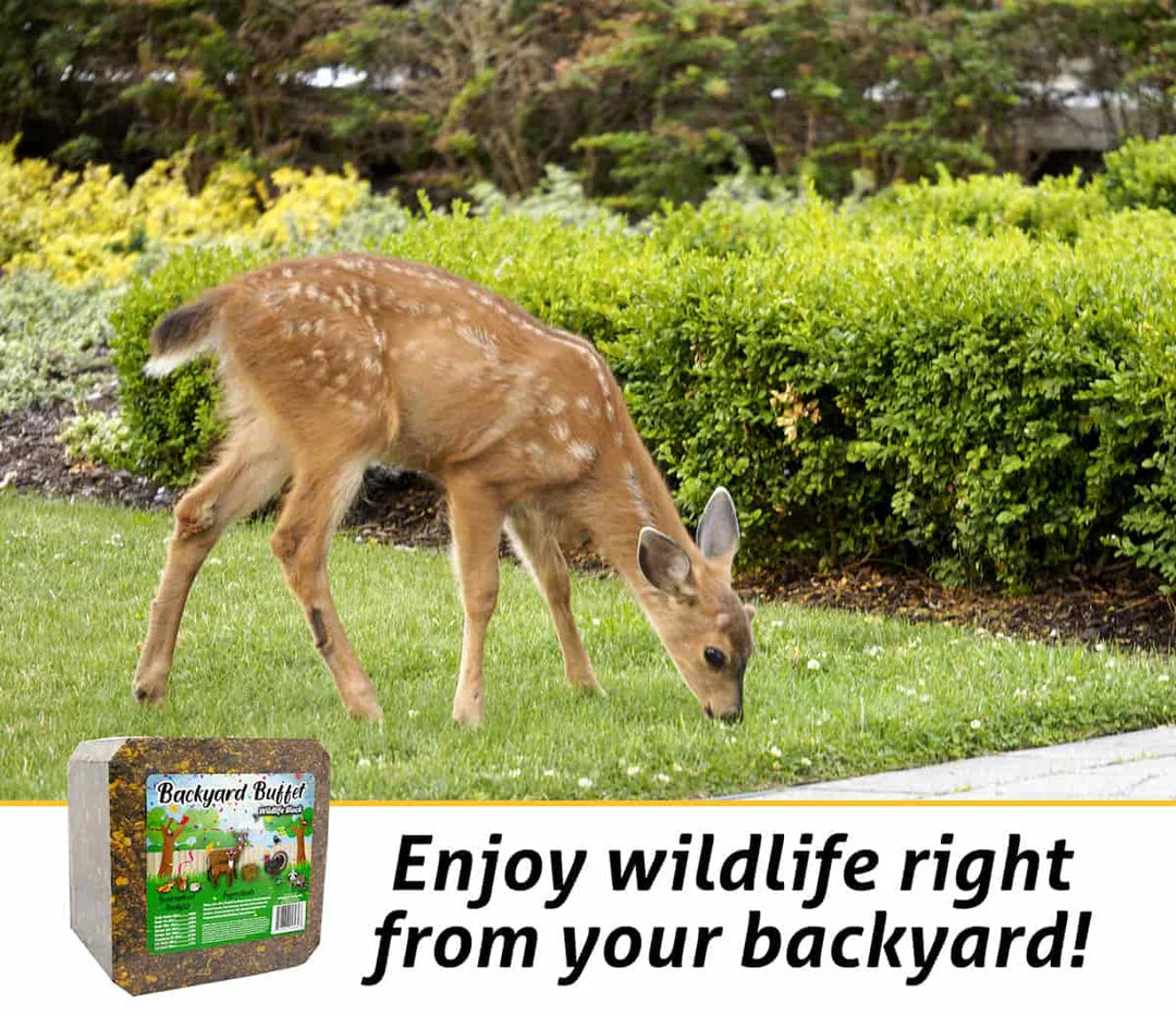 Backyard Buffet™ Wildlife Block - Y9023BLK