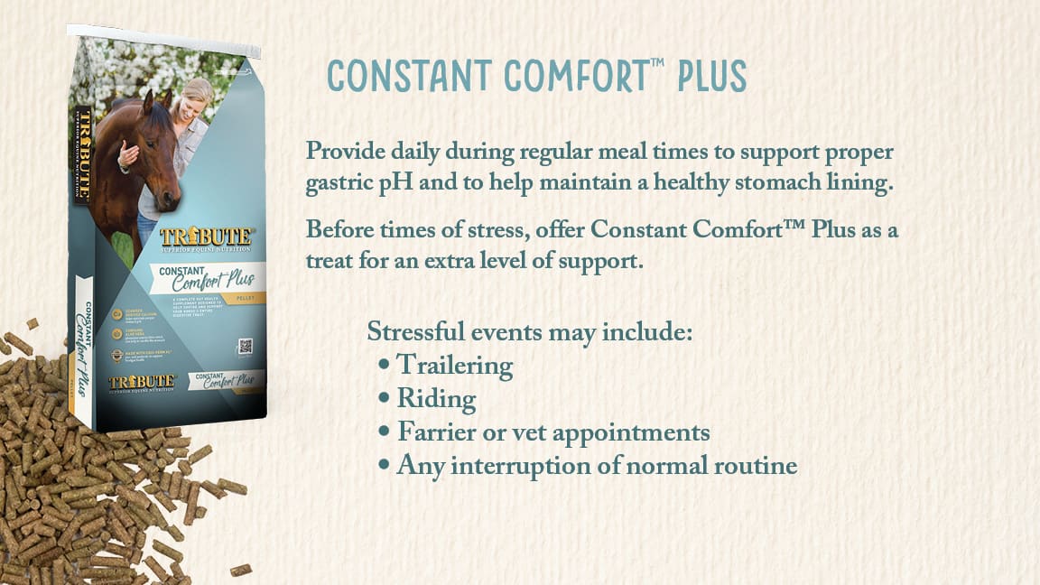 Constant Comfort® Supplement Block - Y9014BLK